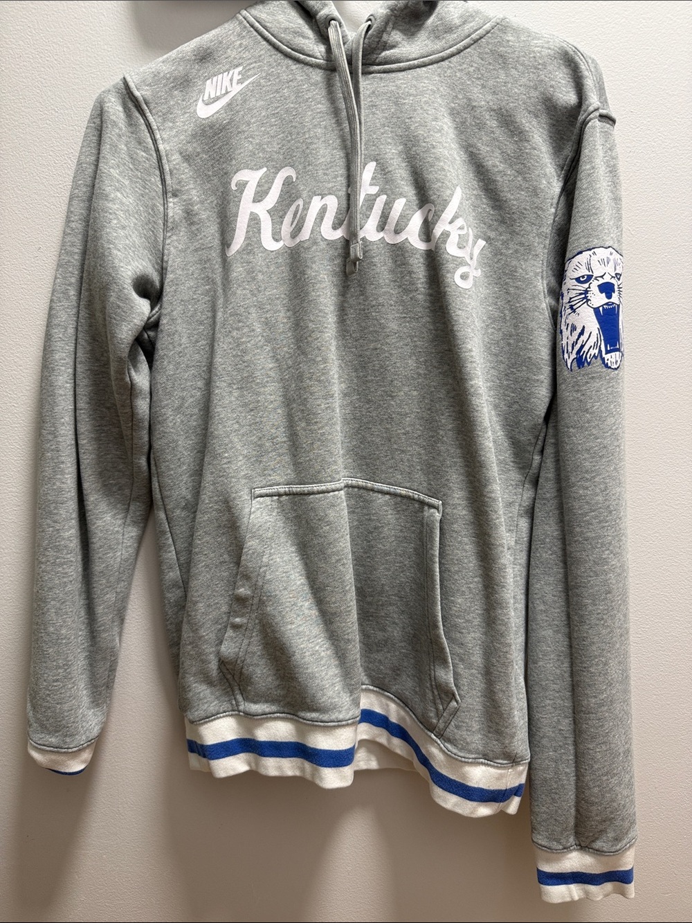 Nike Grey Crewneck Sweatshirt with Blue Accents